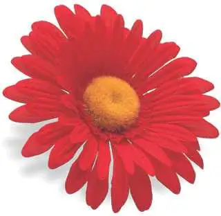 Styrdekoration Electra Sunflower röd