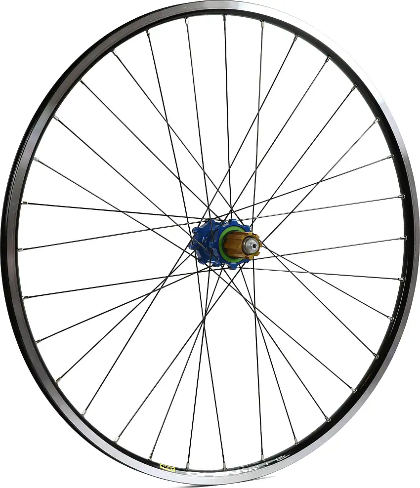 Bakhjul Hope Open Pro/Pro 4 Straight Pull kanttråd IS Campagnolo blå