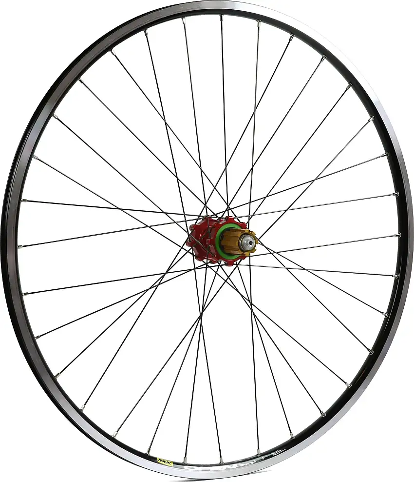 Bakhjul Hope Open Pro/Pro 4 Straight Pull kanttråd IS Campagnolo röd