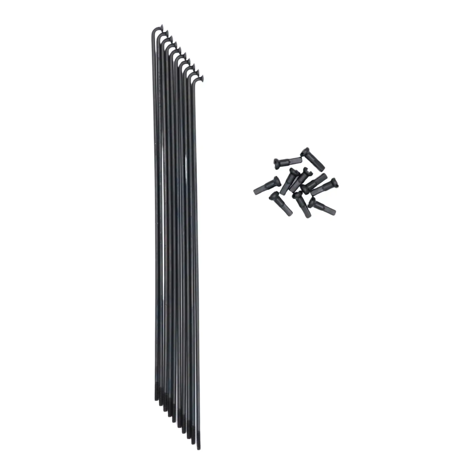 Rays Mach1 (x10)