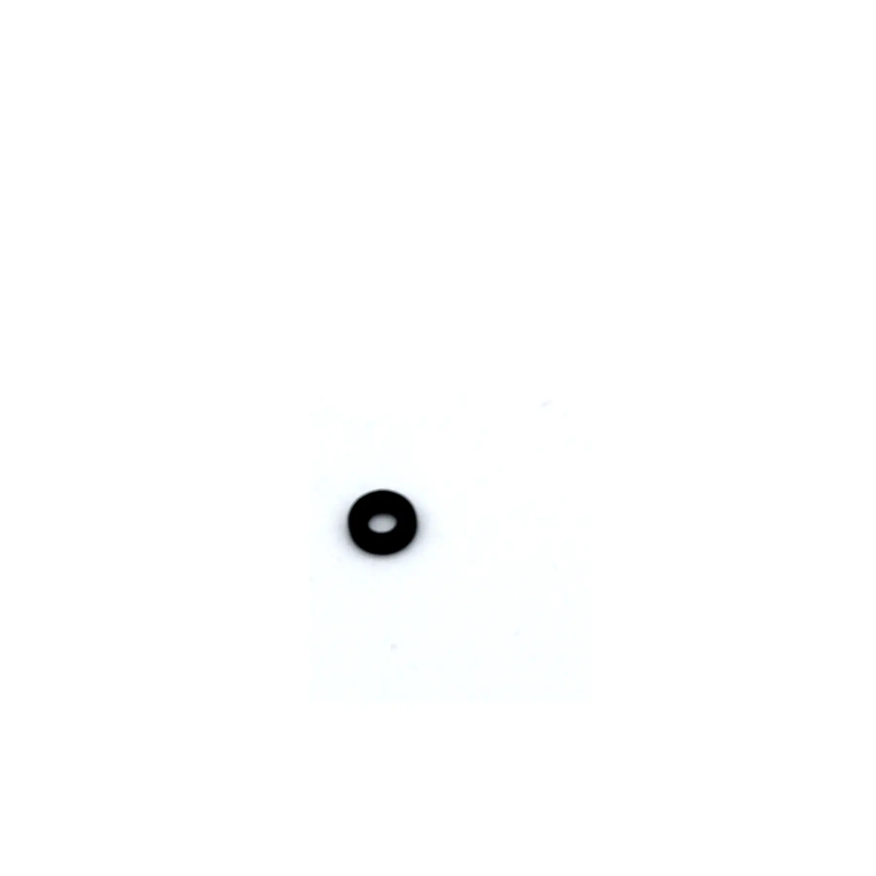 O-ring studs för fjädring WSS Fox