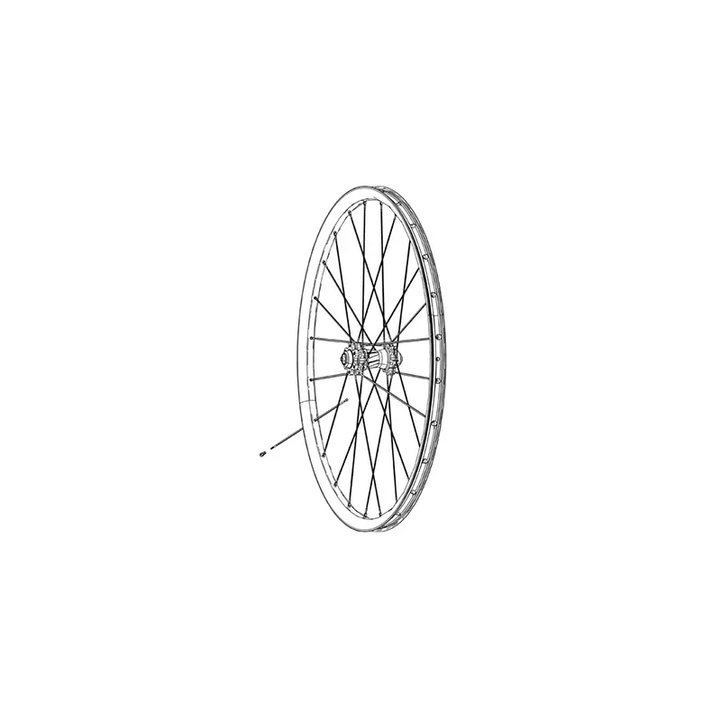 Sats slanglösa ventiler/rimlock/ventilnyckel Zipp