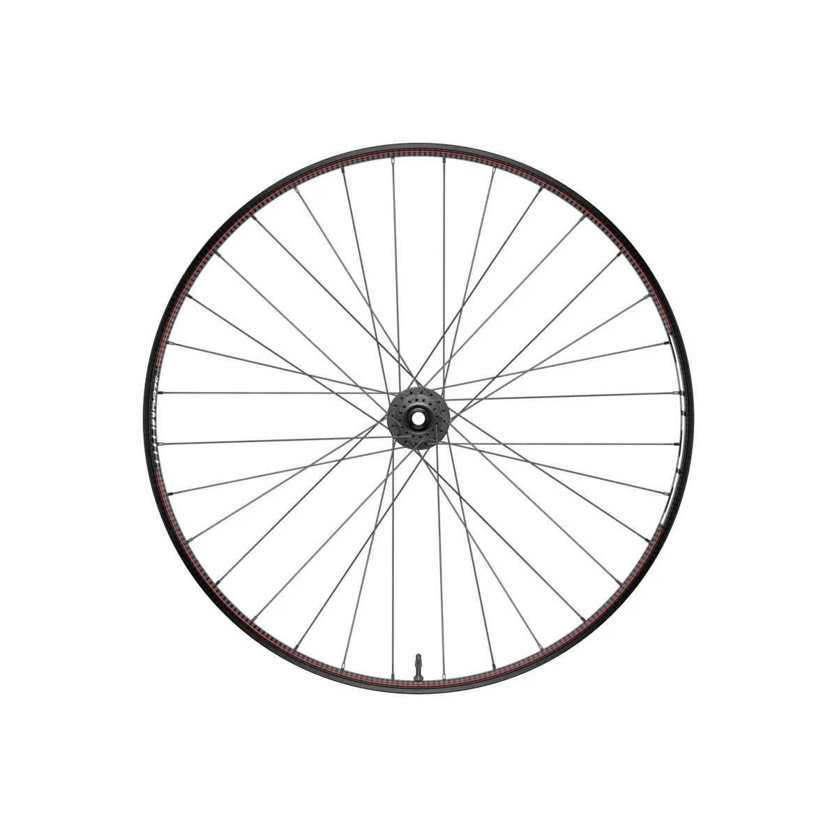 Bakhjul till cykel Zipp 3Zero Moto Zm2 Xd 12V 29 12X148 Slate/Stealth