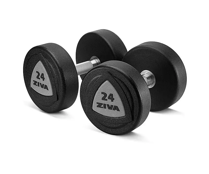 Neoprenhantel Ziva Zvo Urethane 60 kg