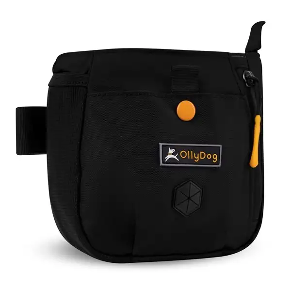 Väska OllyDog Backcountry Daybag Svart OS