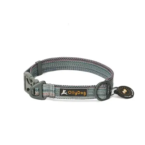 Halsband OllyDog Flagstaff Collar Blå