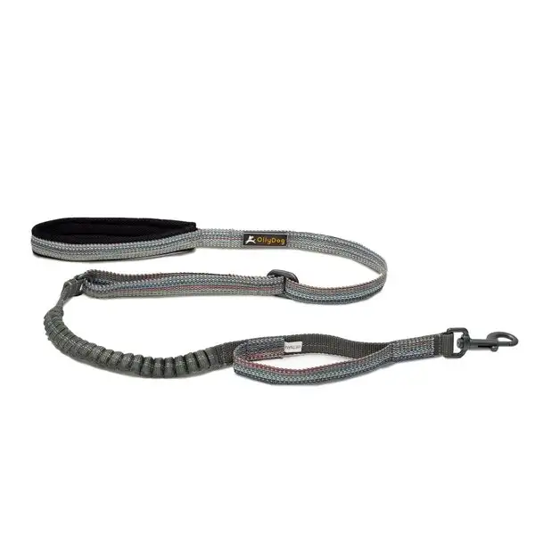 Koppel OllyDog Flagstaff Adj Spring Leash Blå OS