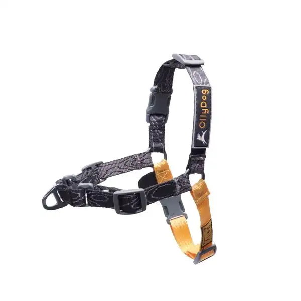 Sele OllyDog Essential Harness Svart