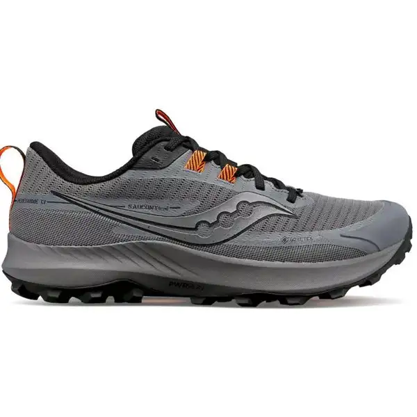 Trailrunning Skor Saucony Peregrine Ice+ 3 Herr Grå/Svart