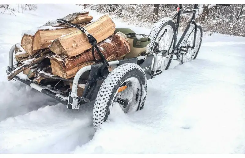 Burley Cykelkärra Cargo Trailer Flatbed